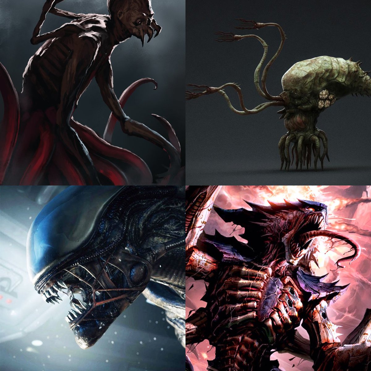 Dorian Krieg tweet media