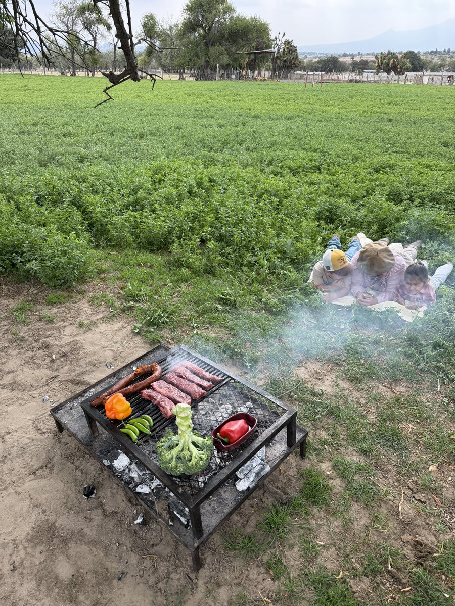 Ni bien ni mal, si no todo lo contrario.