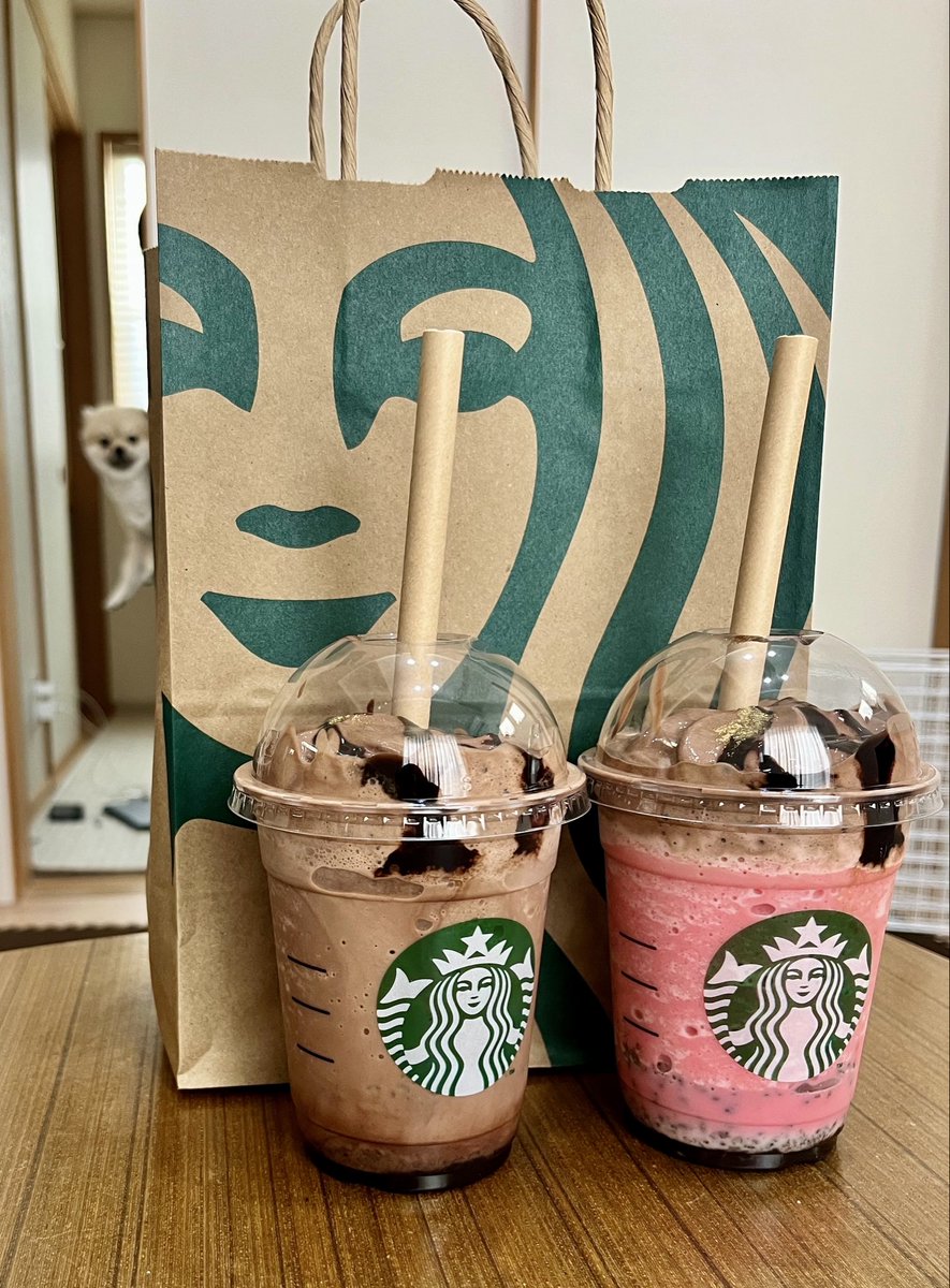 あさぽん/ポメラニアンのしもべ tweet media