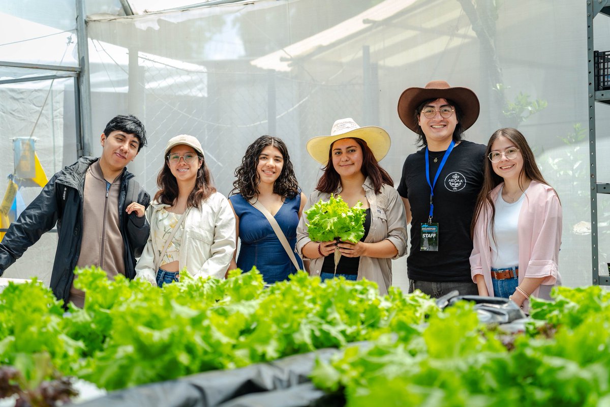 Miquel Cortés Bofill tweet media
