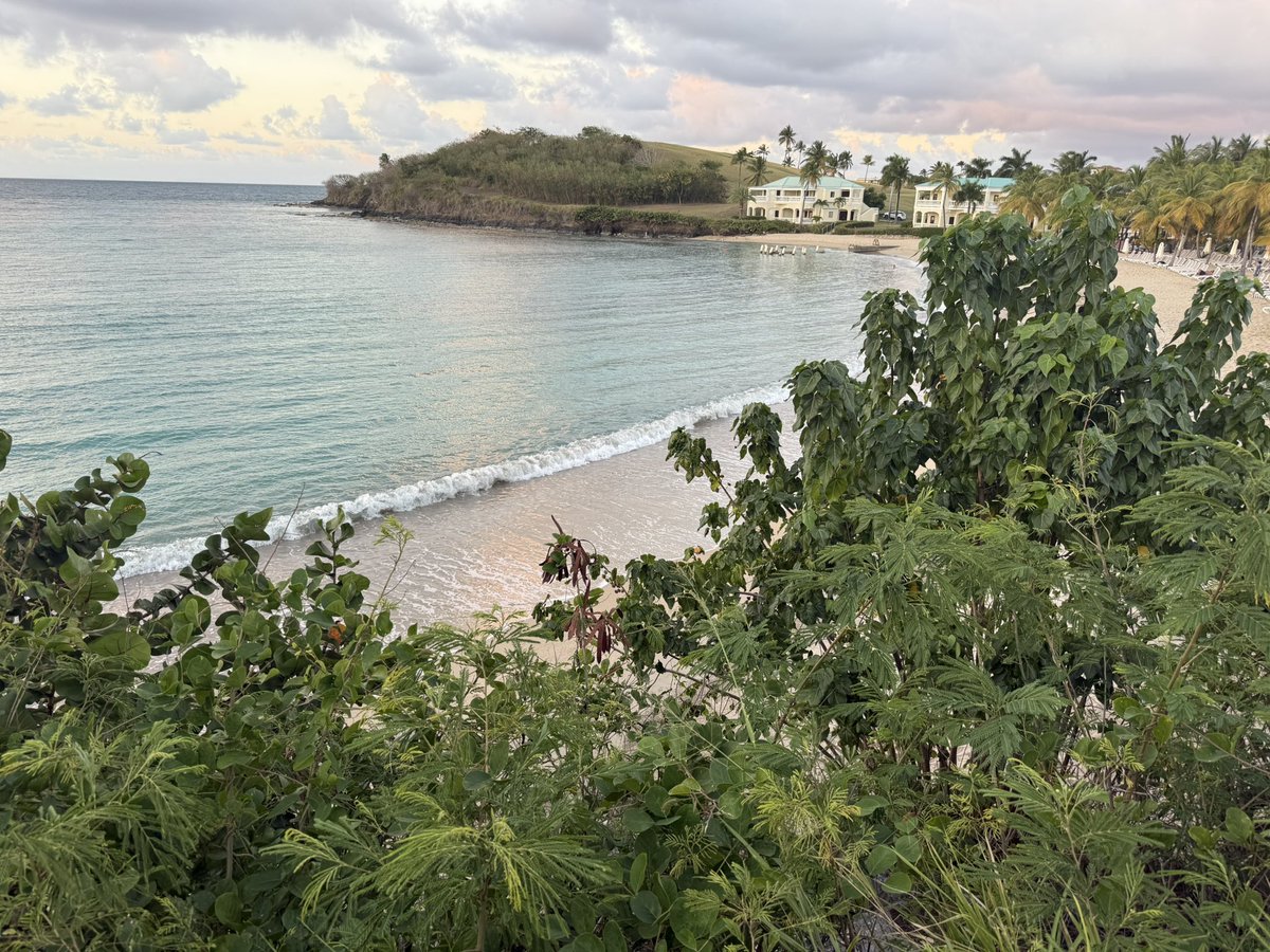 COACH PRIME tweet media