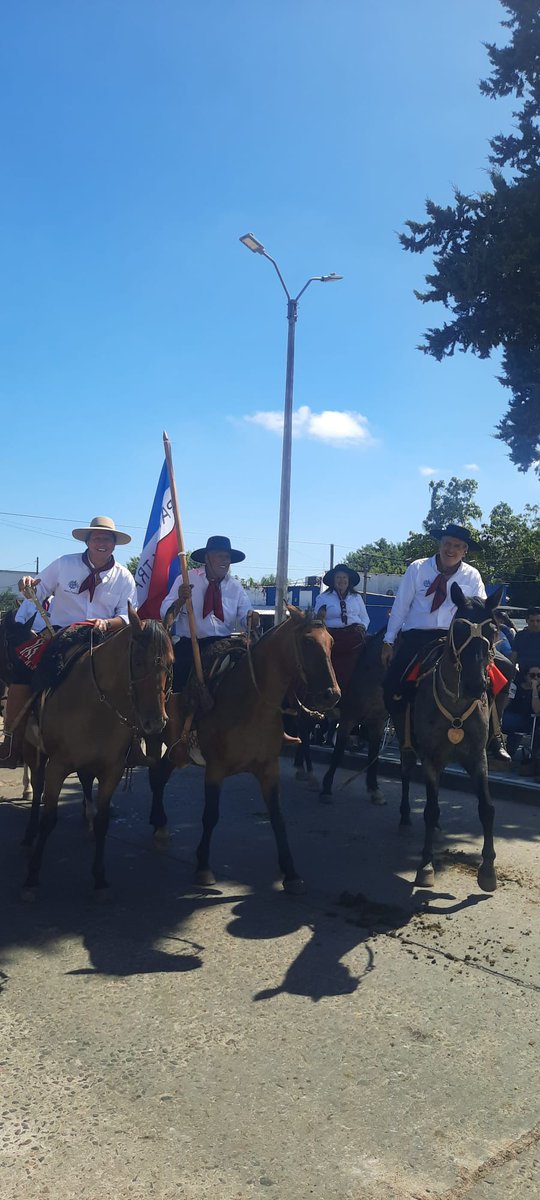 Federico Silva tweet media