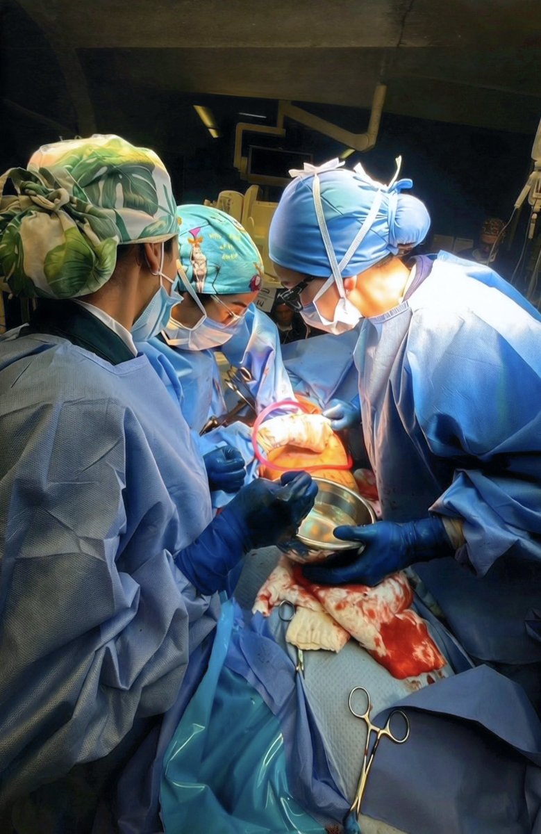 Sama سماء tweet media