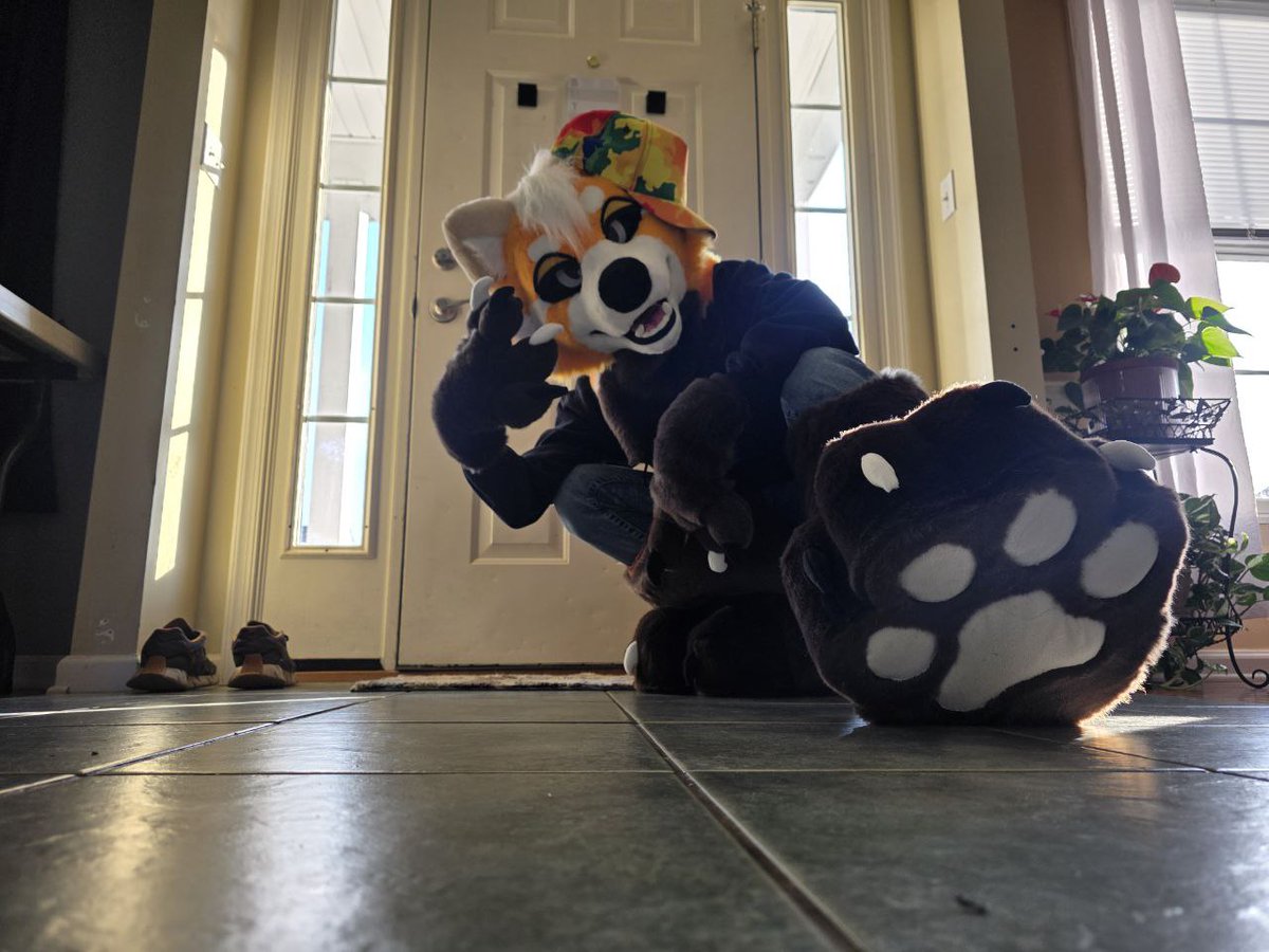 ☈eydar 🐾 🌪️🏍️ tweet media