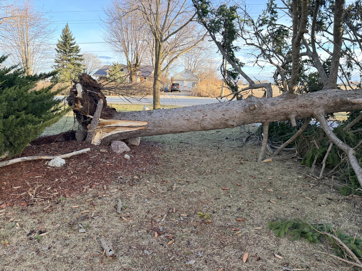 Fermes Chauvin Farms Ltd.🇨🇦 tweet media