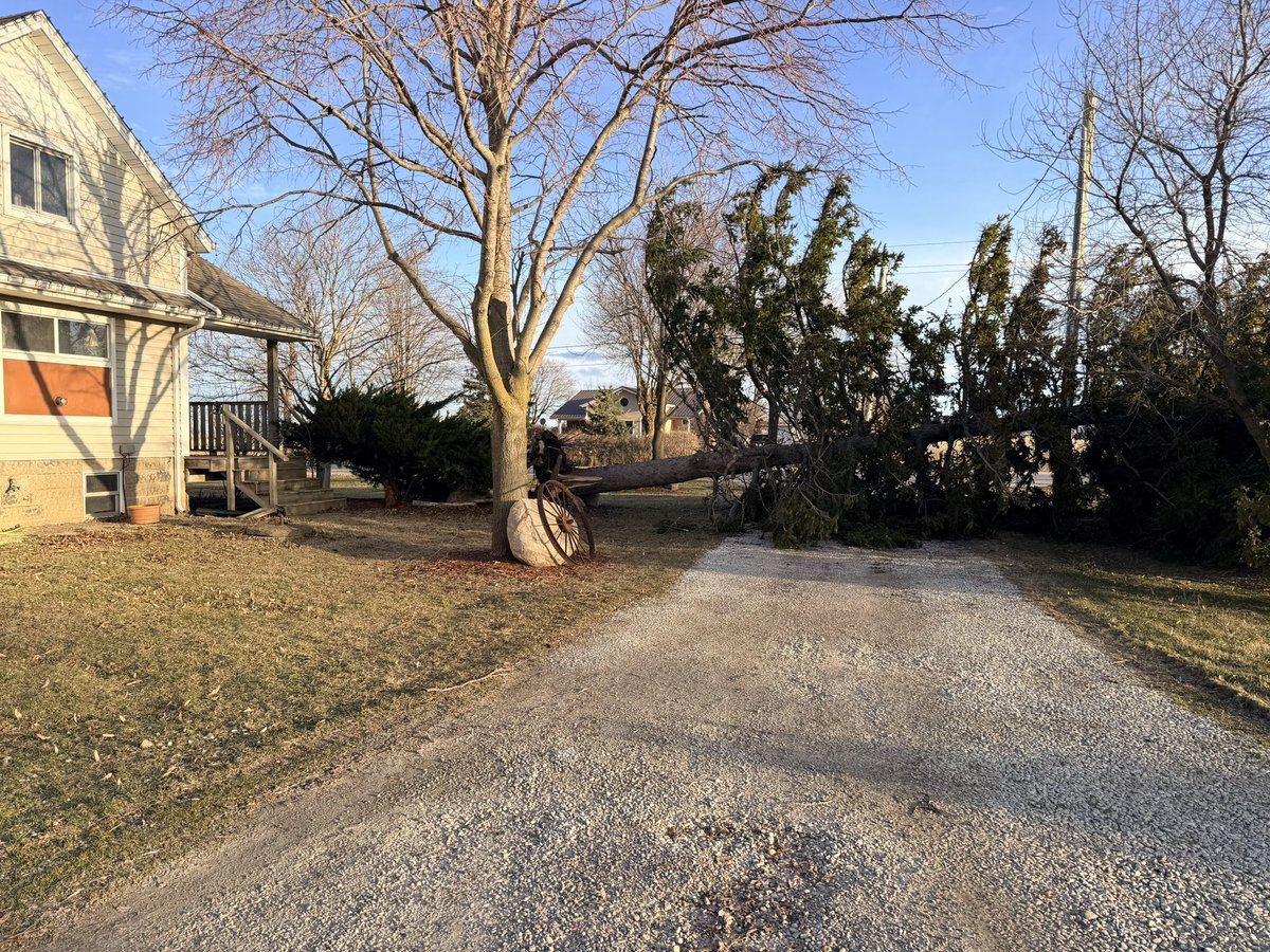 Fermes Chauvin Farms Ltd.🇨🇦 tweet media