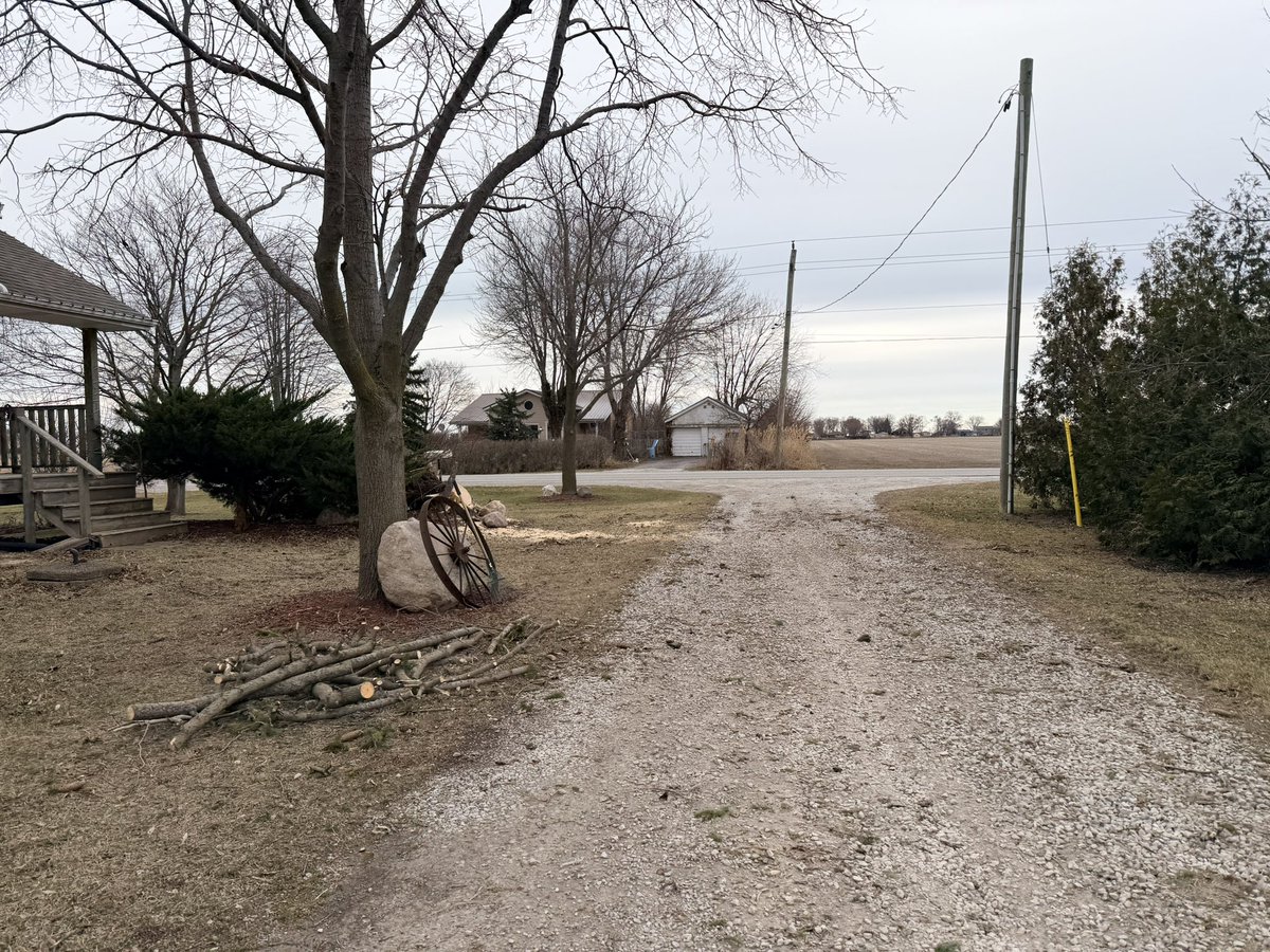 Fermes Chauvin Farms Ltd.🇨🇦 tweet media