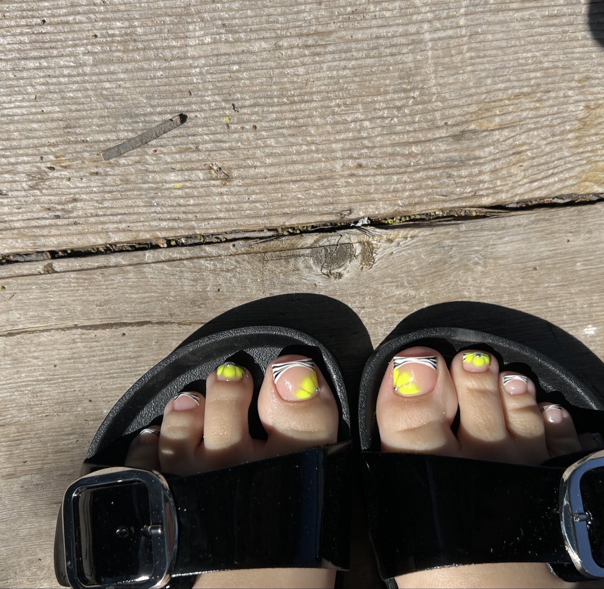 b⭑.ᐟ tweet media