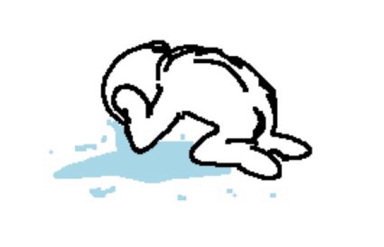 marissa ♡ | wolfwood brainrot stargaze edition tweet media