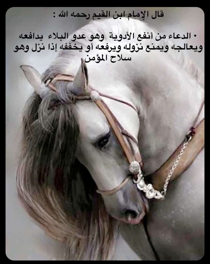 alhl5325's tweet photo. الدعاء عظيم يدفع البلاء ويزيد النعم https://t.co/9OSBfWWc8K
