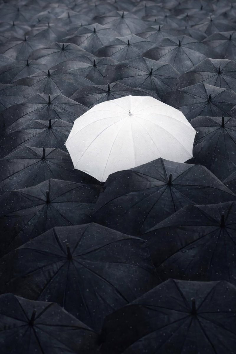 فلسفة مُلهمة ‏ tweet media