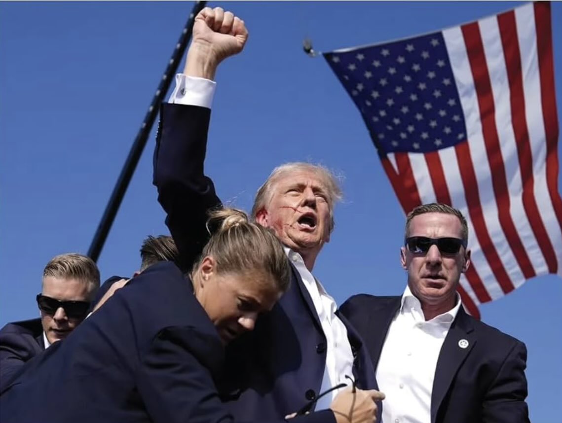 Tim Honl tweet media