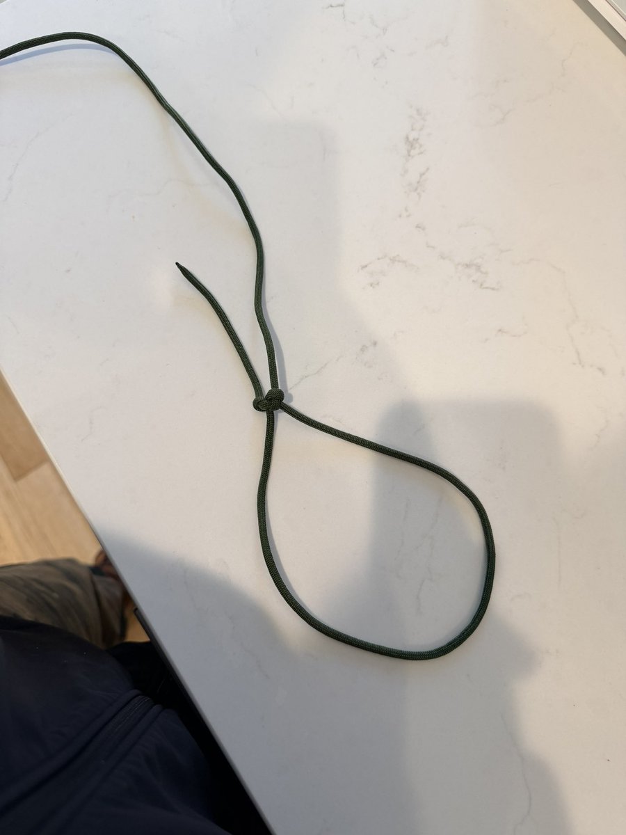 patagucci perf papi tweet media