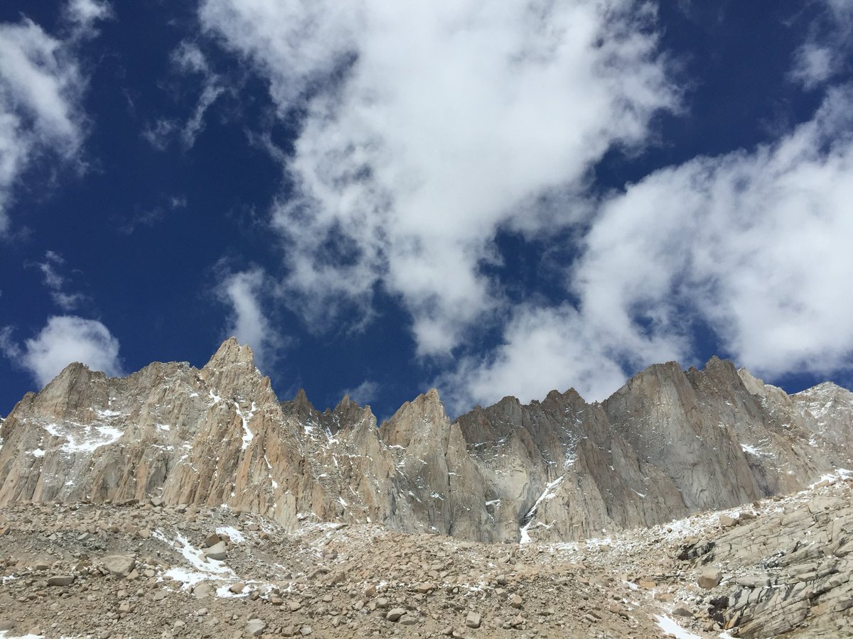 Ryan Ahern🐊 tweet media