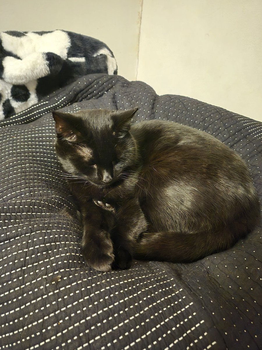 Jo Willis (JoBW- same at Bluesky) tweet media