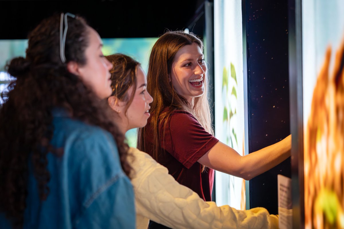 Texas A&M University tweet media