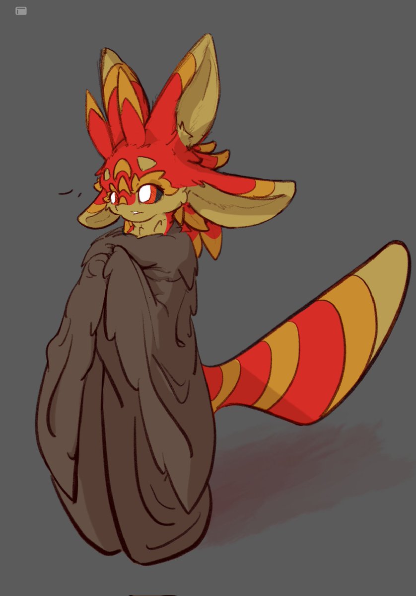 虫昔火虫 tweet media