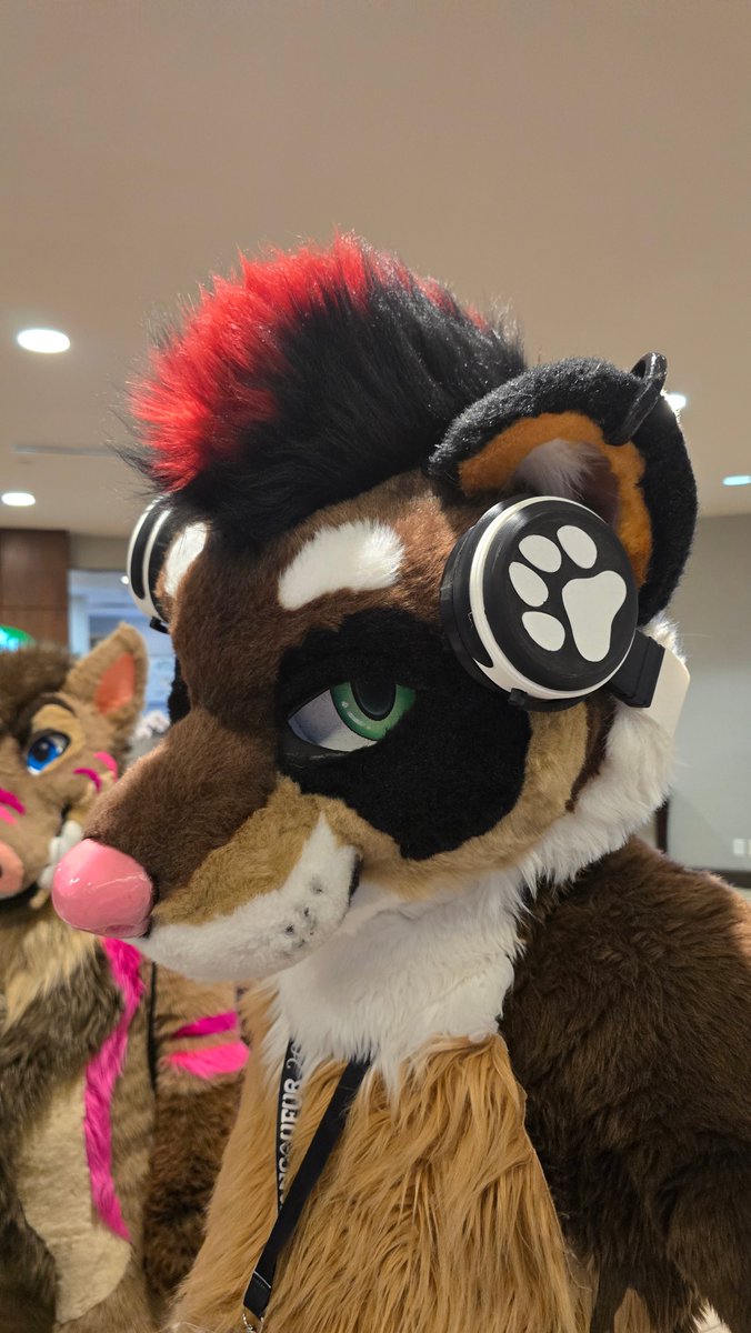 FursuitAccessry's tweet photo. Our fursuit headphones are opening for limited pre-order tomorrow at noon PST! 

#Fursuit #FursuitAccessories https://t.co/z6fkOU5Qfk