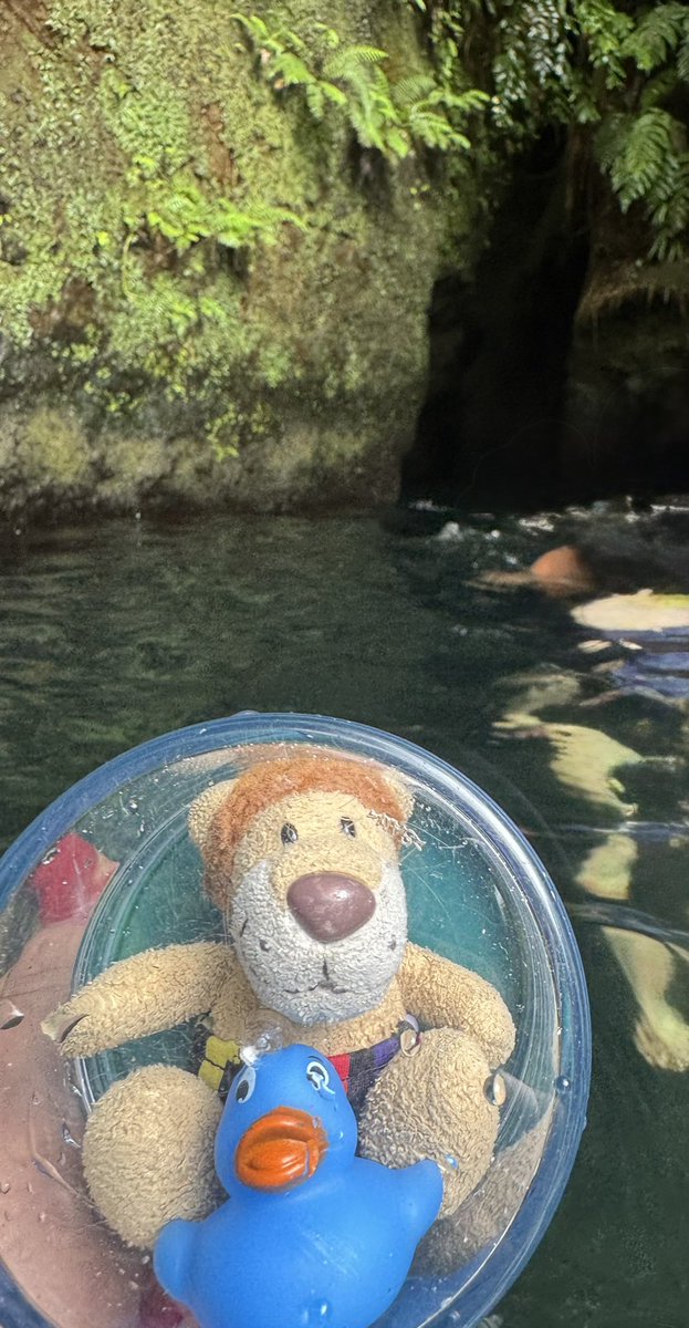 Die Kaua aus Hamm / Westfalen tweet media