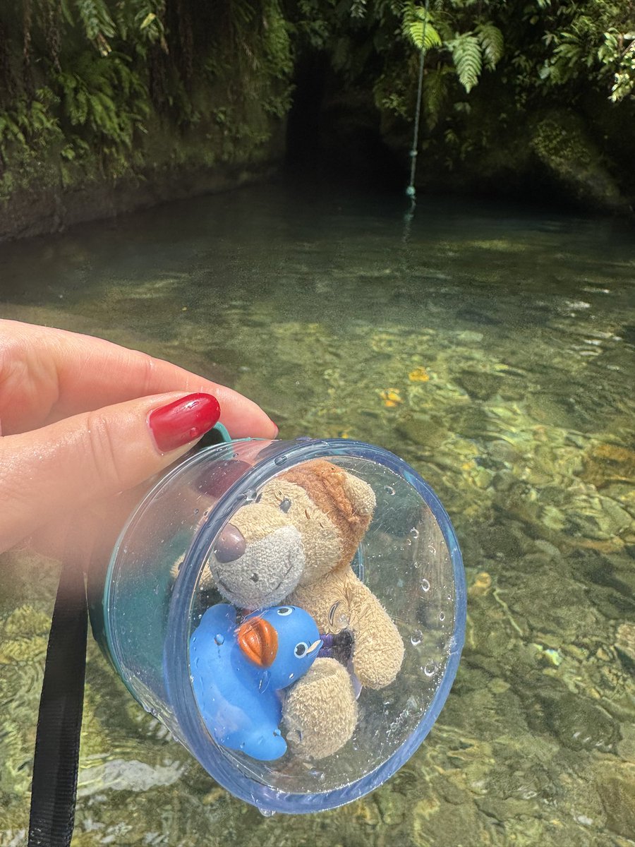 Die Kaua aus Hamm / Westfalen tweet media