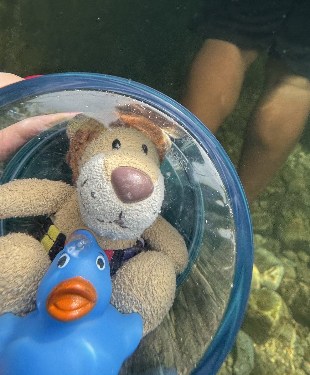 Die Kaua aus Hamm / Westfalen tweet media