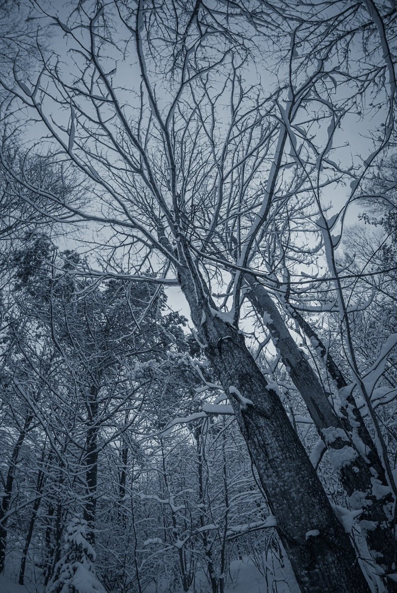 Loki Highlock tweet media