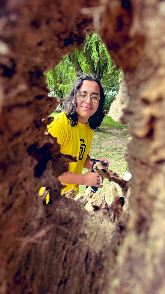 Alejandro Ferrer tweet media