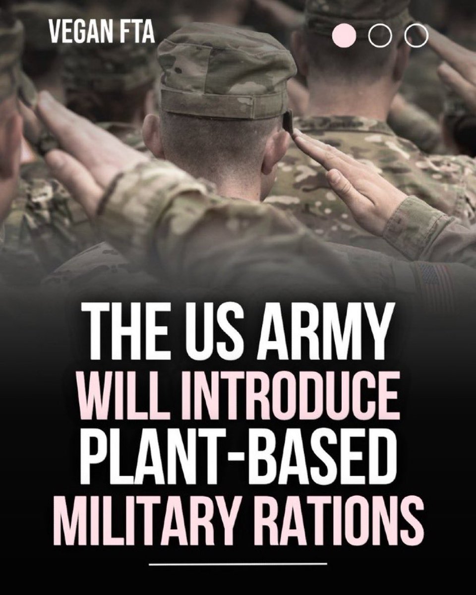 Investing News tweet media