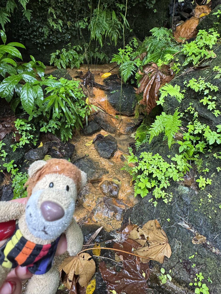 Die Kaua aus Hamm / Westfalen tweet media