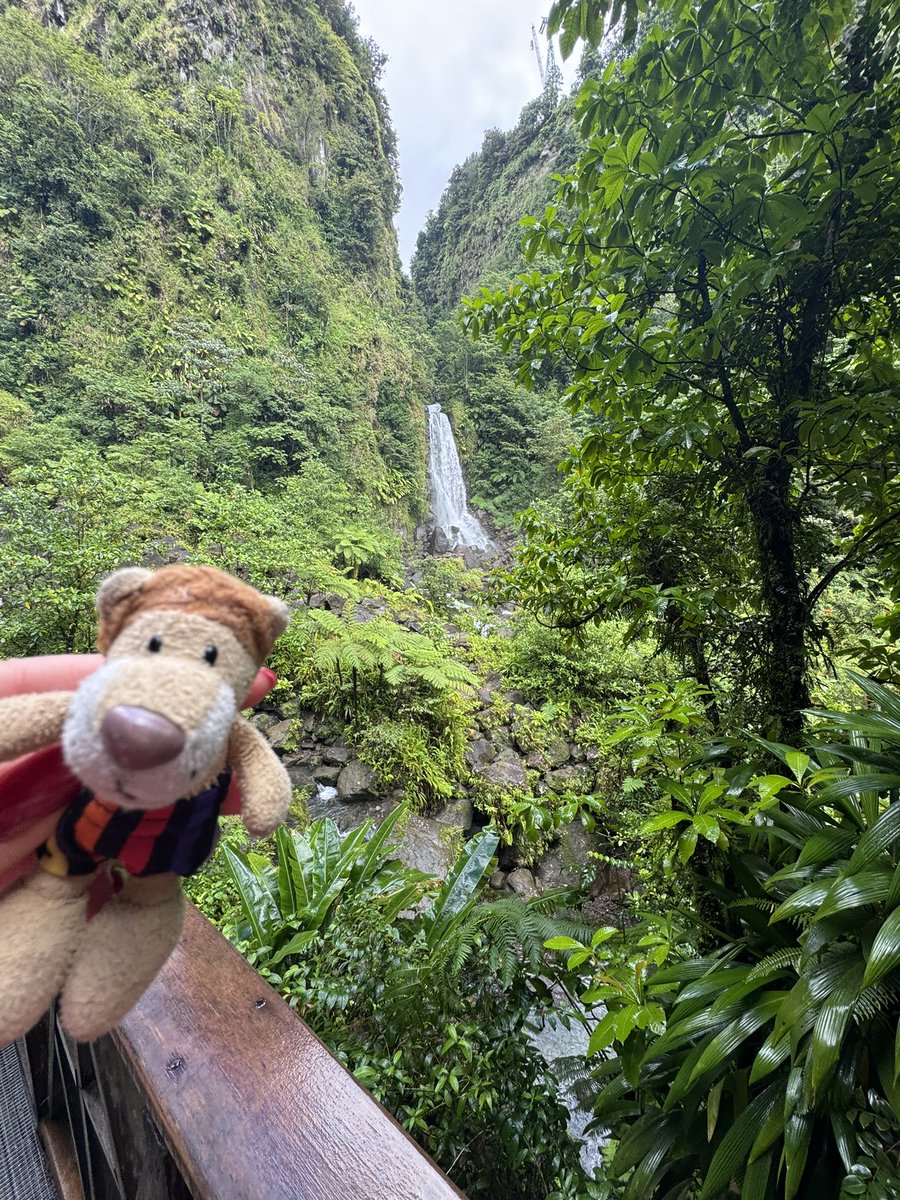 Die Kaua aus Hamm / Westfalen tweet media