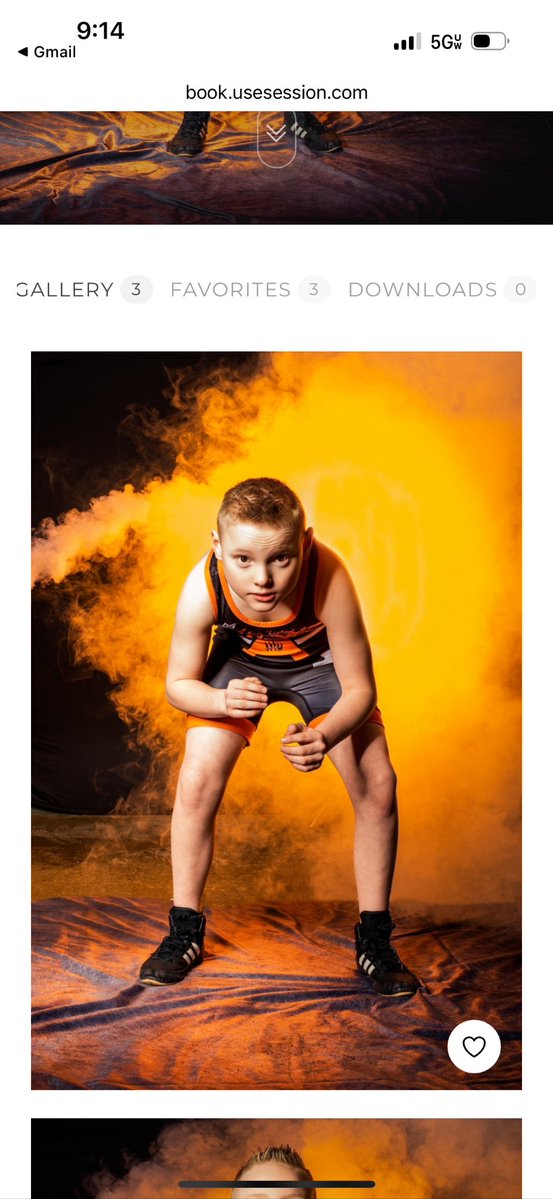 LancasterWrestling1 tweet media