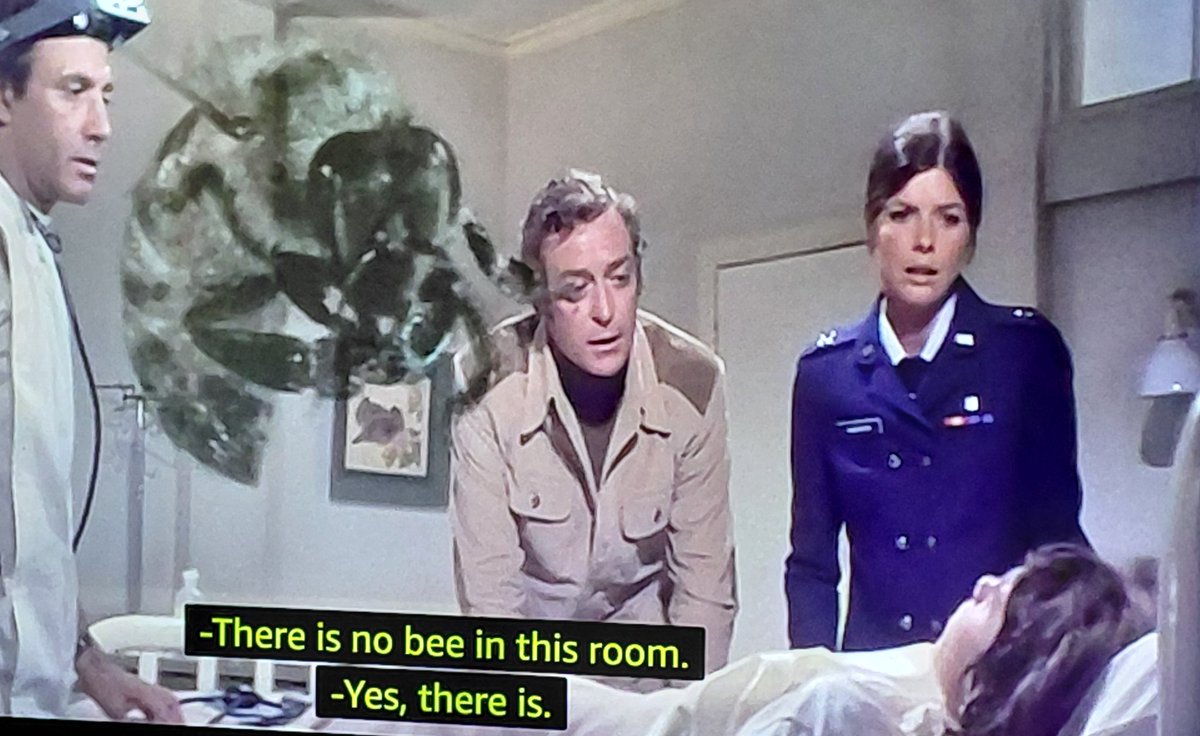 Toddington tweet media