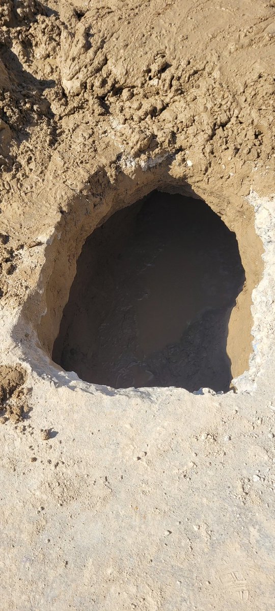 Ivan Escalante tweet media