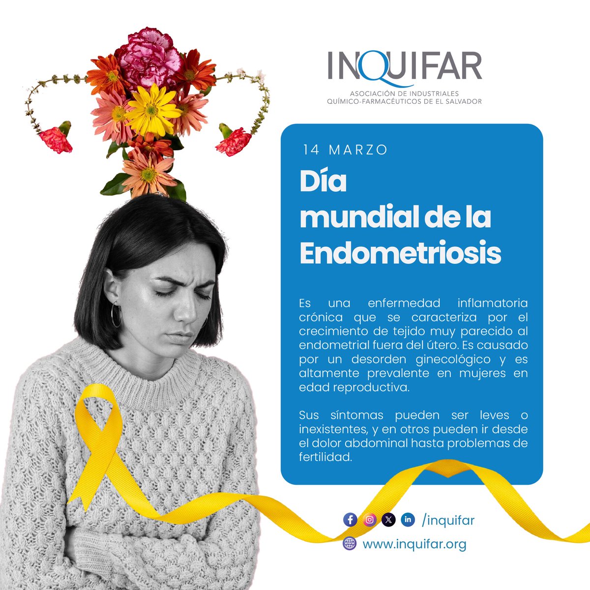 INQUIFAR tweet media