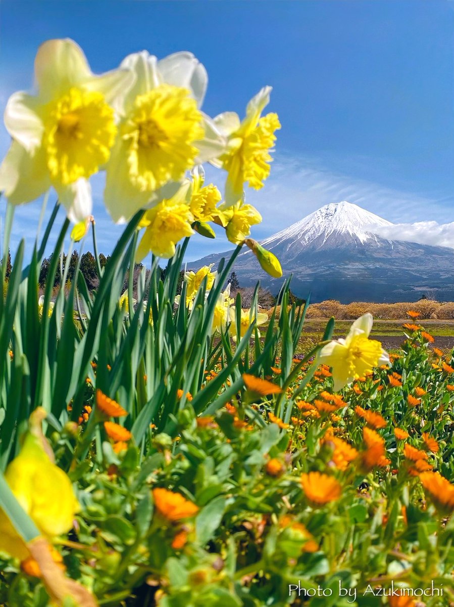 おはよう富士山🗻*:･ﾟ