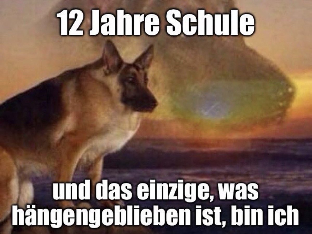FluffyAbaddon's tweet photo. Wieso fühle ich dieses Bild so sehr xD https://t.co/UugKh632Kl