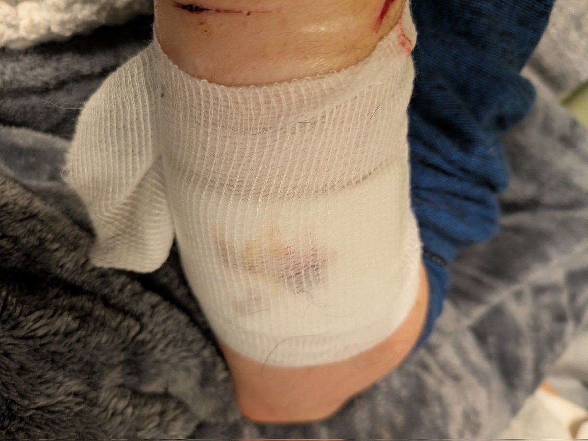 ⁉️ Dexter Of SHTWT ⁉️ tweet media