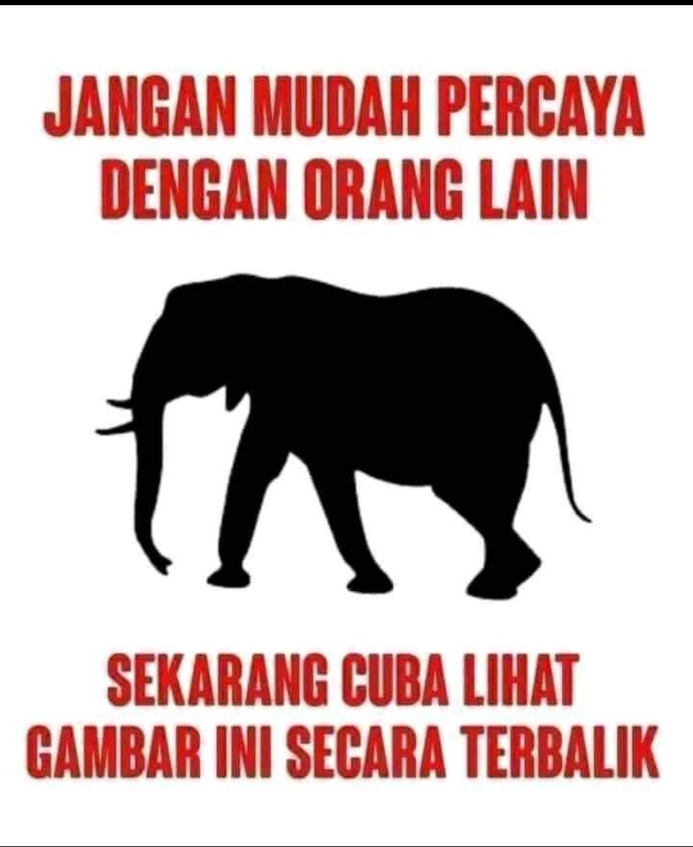 Infosuporter tweet media