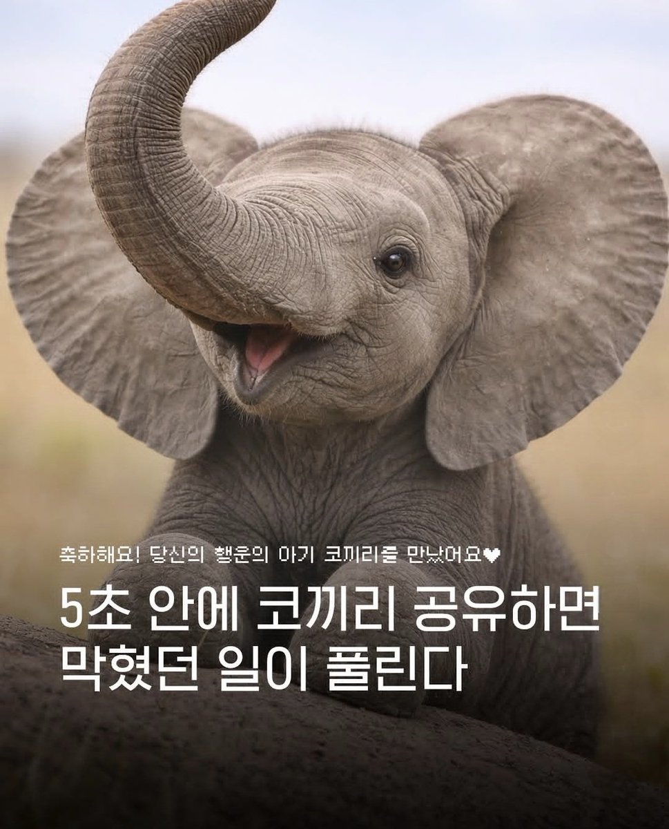 굿모닝♡

행운 가득한 하루 되시라고 
아기 코끼리 데리고 왔어요^^
행복한 일요일 되세요~ 
햅삐😘