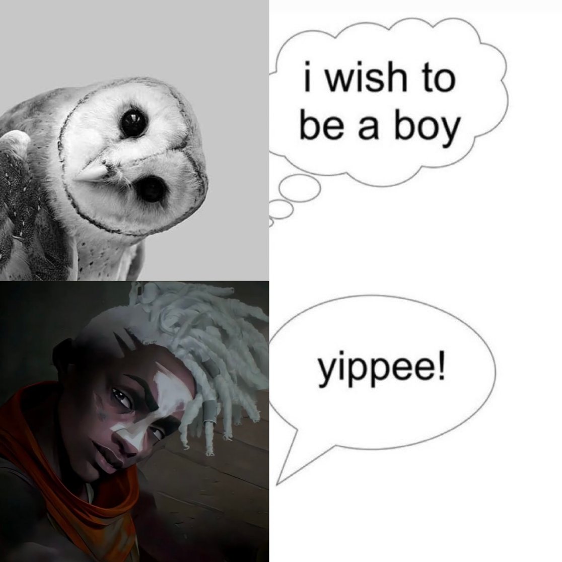 Tweet image
