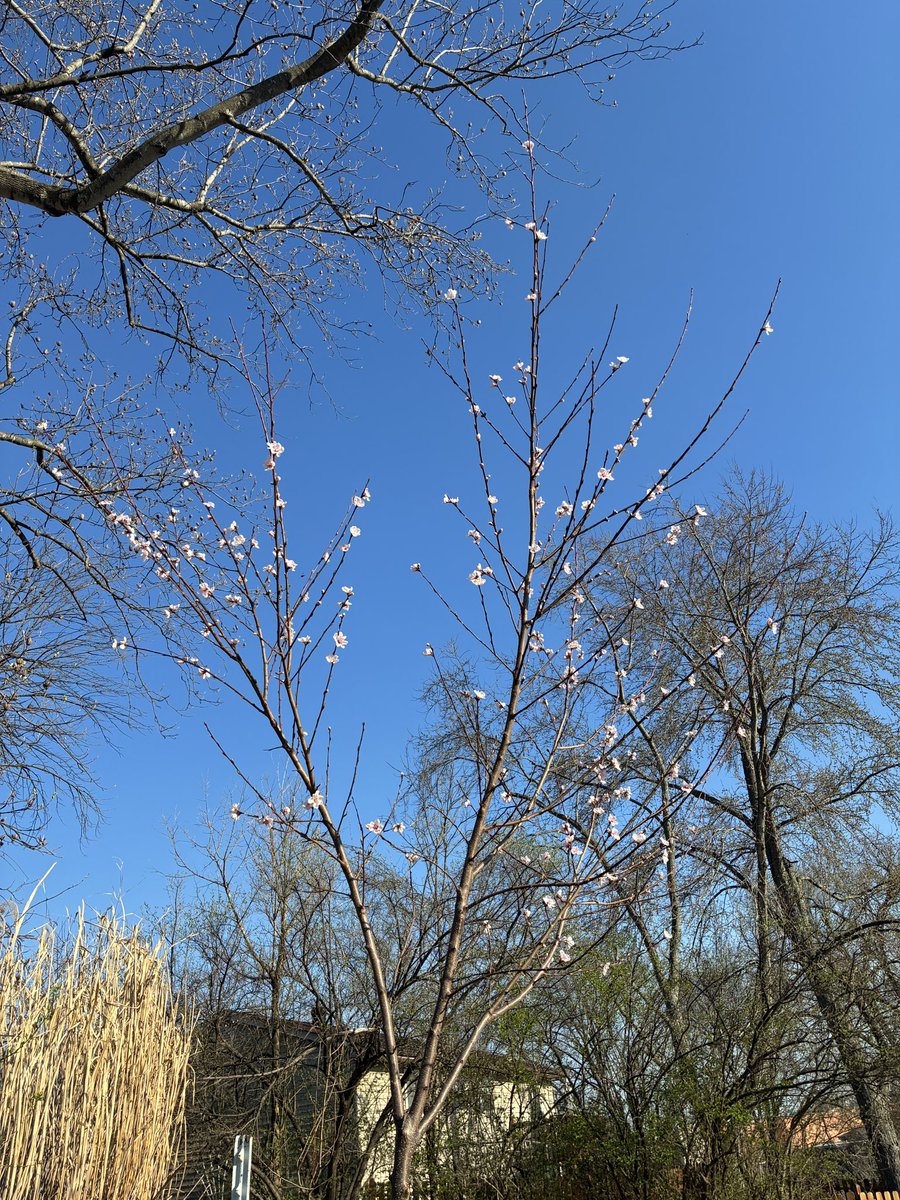 7 Springs Ranch tweet media