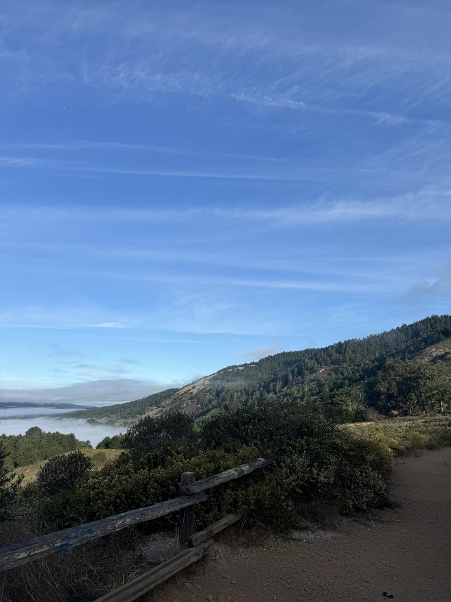 Alyssa Krejmas tweet media