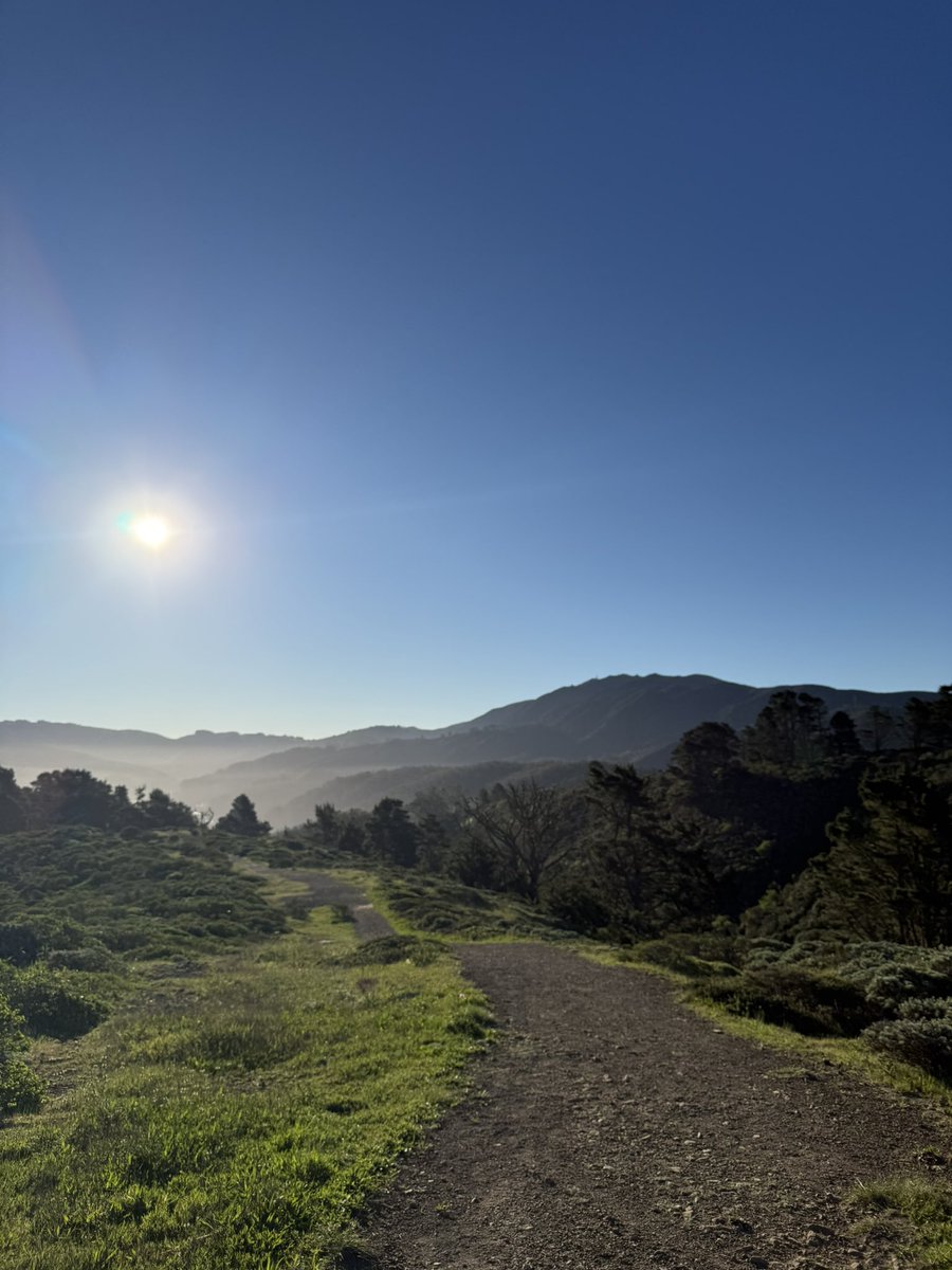 Alyssa Krejmas tweet media