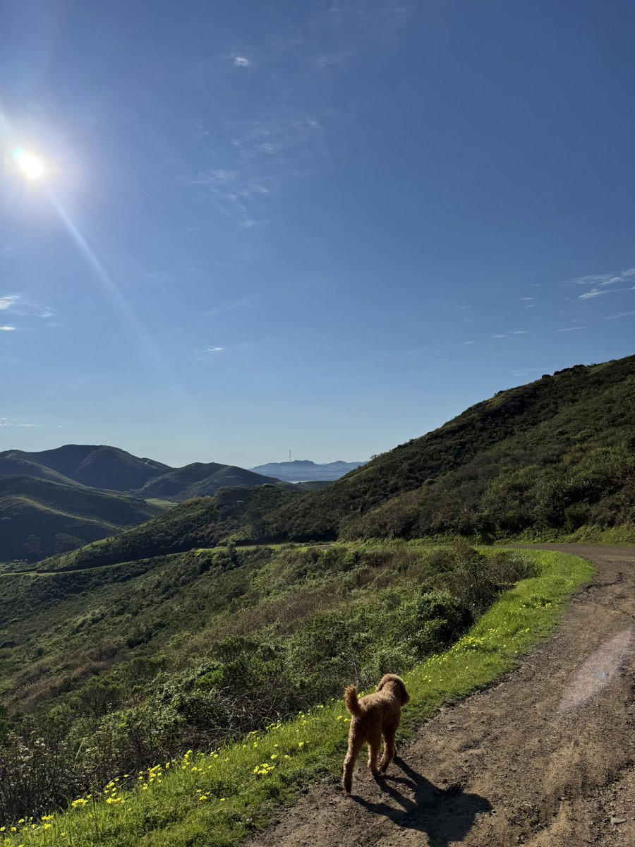 Alyssa Krejmas tweet media