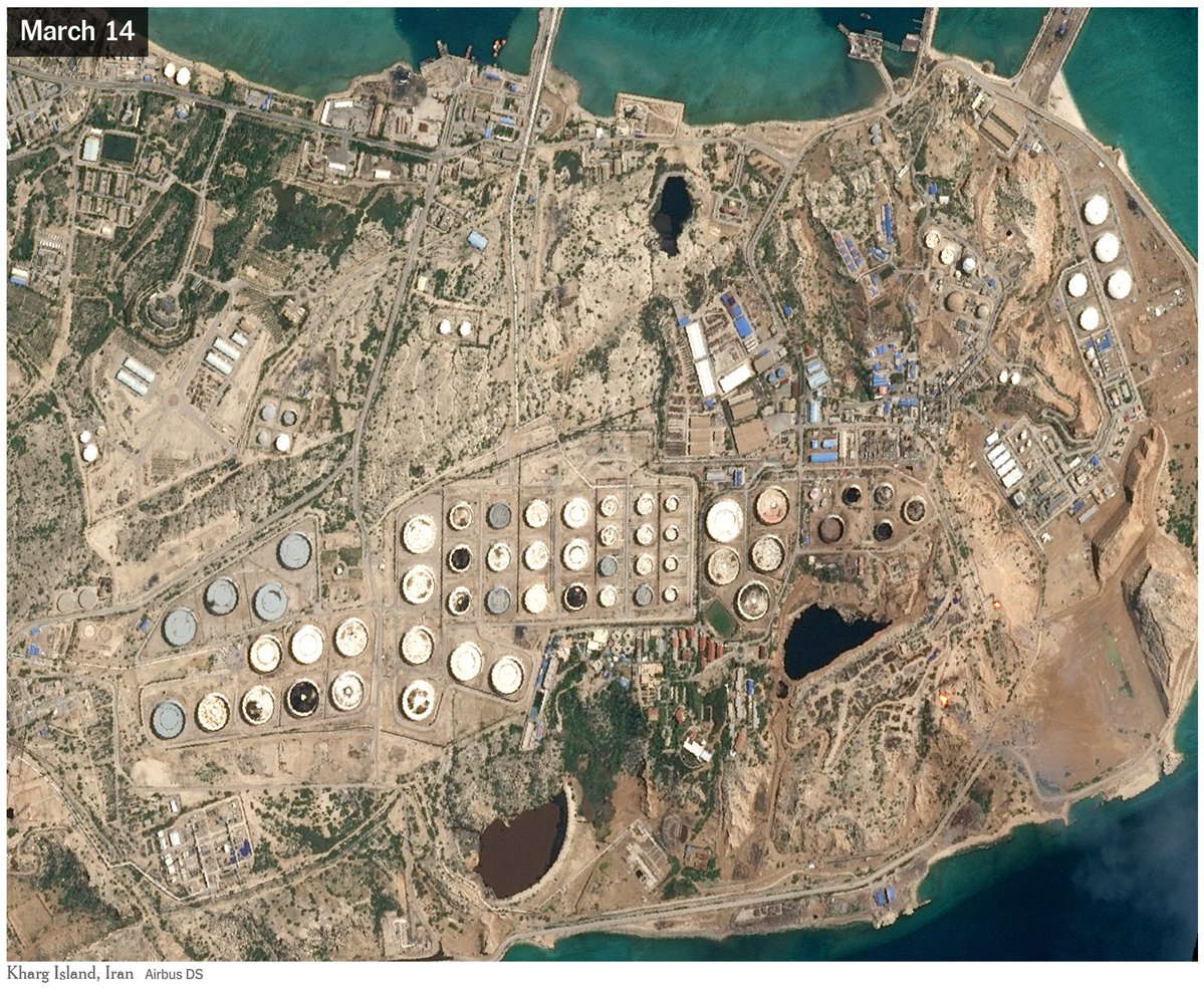 Devon Lum tweet media