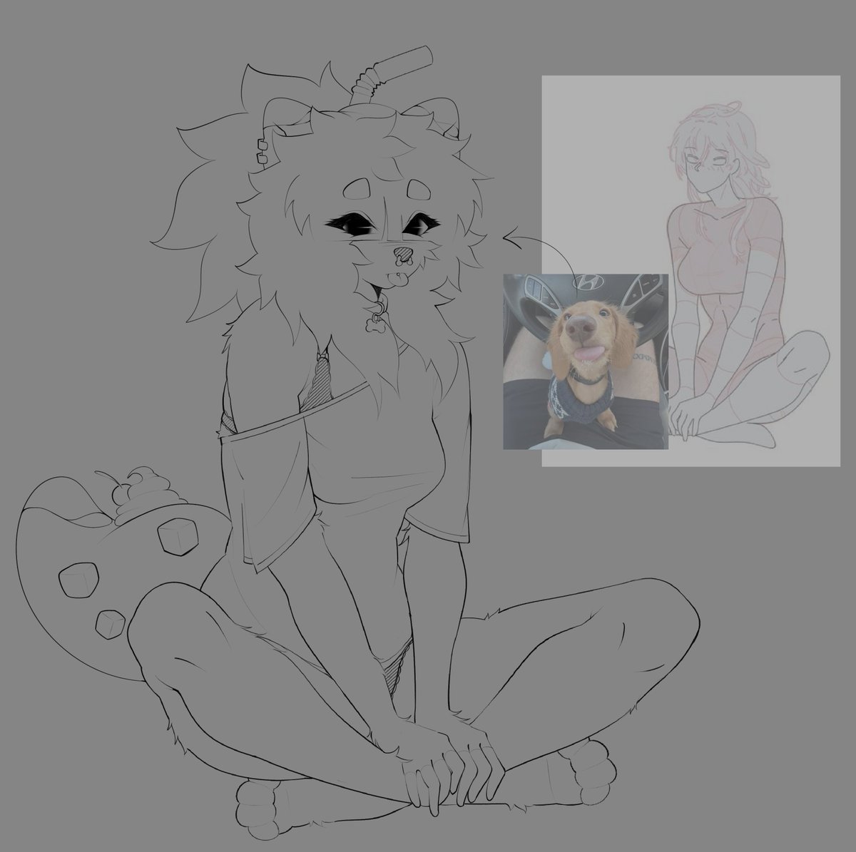 🐾 》Bubble tweet media