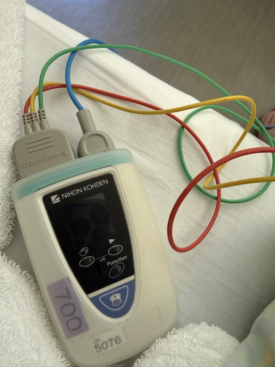 Yaeko Mizutani tweet media