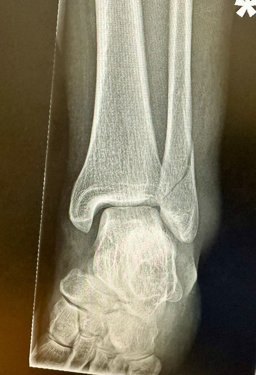 Helen How Edinburgh tweet media