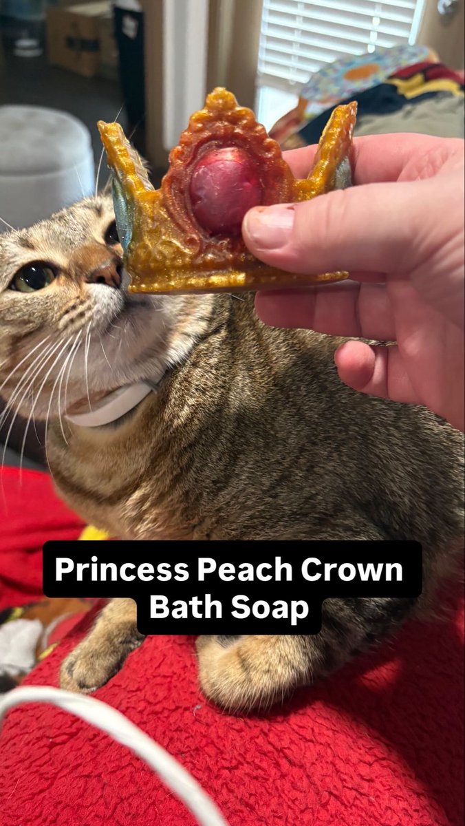 💰Jared Thorbahn💰 tweet media