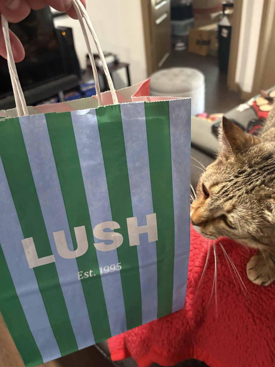 💰Jared Thorbahn💰 tweet media